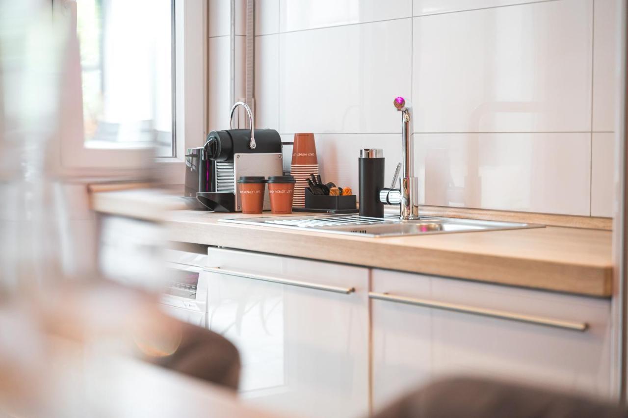 Das Crazy Monkey Loft Mit 100Qm & Summerlounge Apartment Stuttgart Luaran gambar